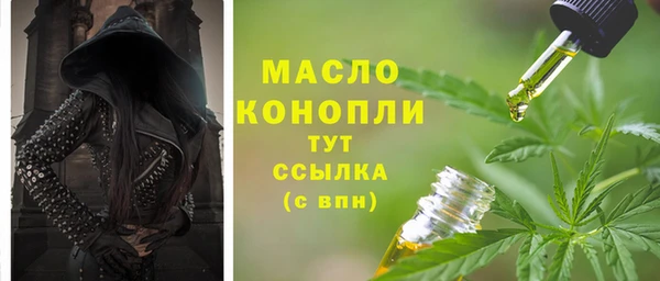 дмт Володарск
