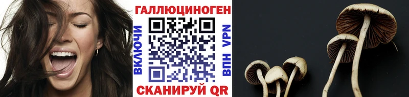 Купить  Аша  Псилоцибиновые грибы ЛСД 